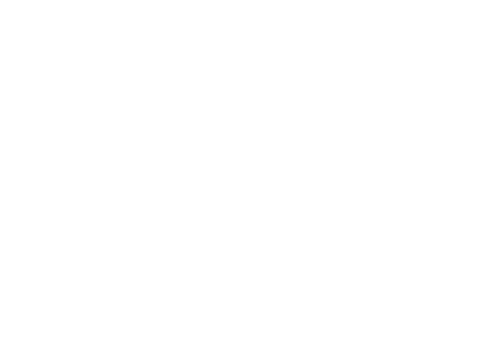 Logo Villa Tortuga